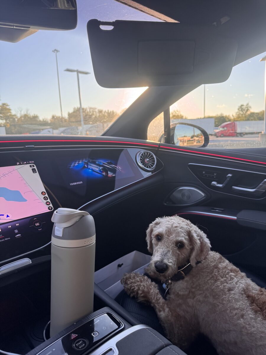Brock road trip co-pilot