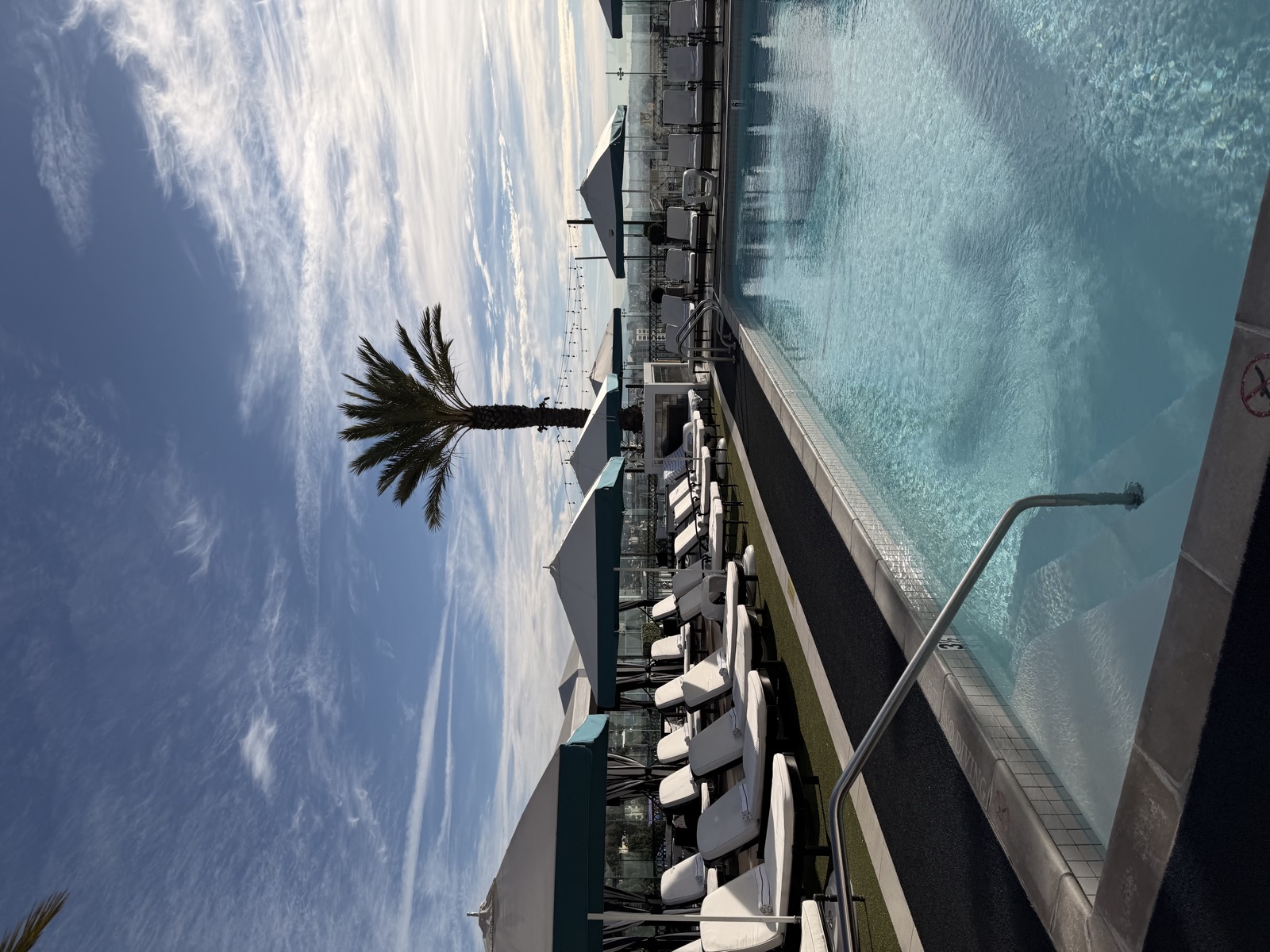 Rooftop pool in Hollywood