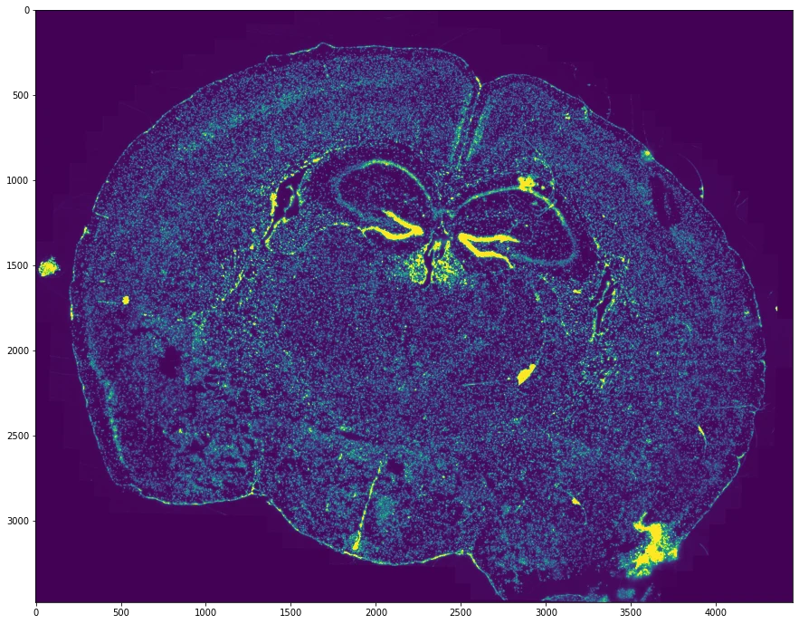 MERFISH coronal mouse-brain section reconstructed from spatial transcript positions