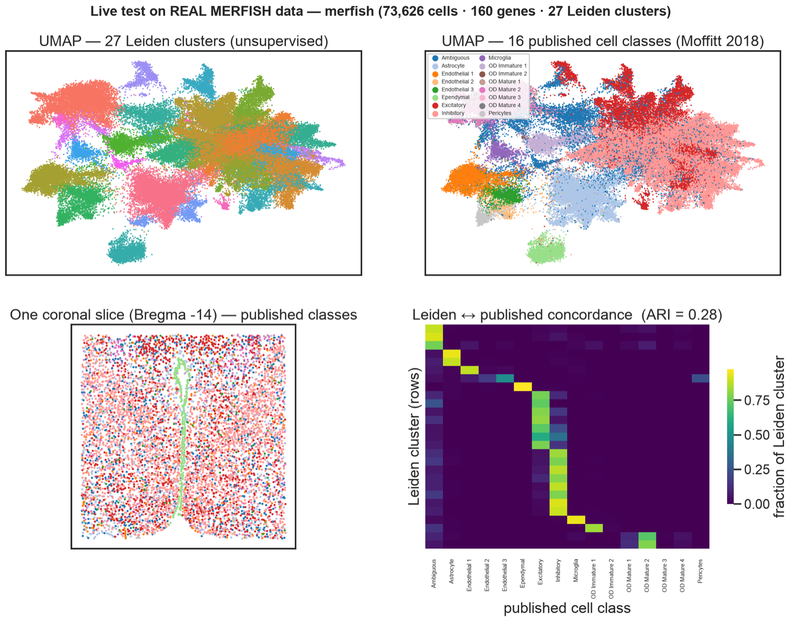 Four-panel live validation: two UMAPs colored by Leiden clusters and by published cell classes, a coronal spatial slice, and a Leiden-versus-published concordance heatmap