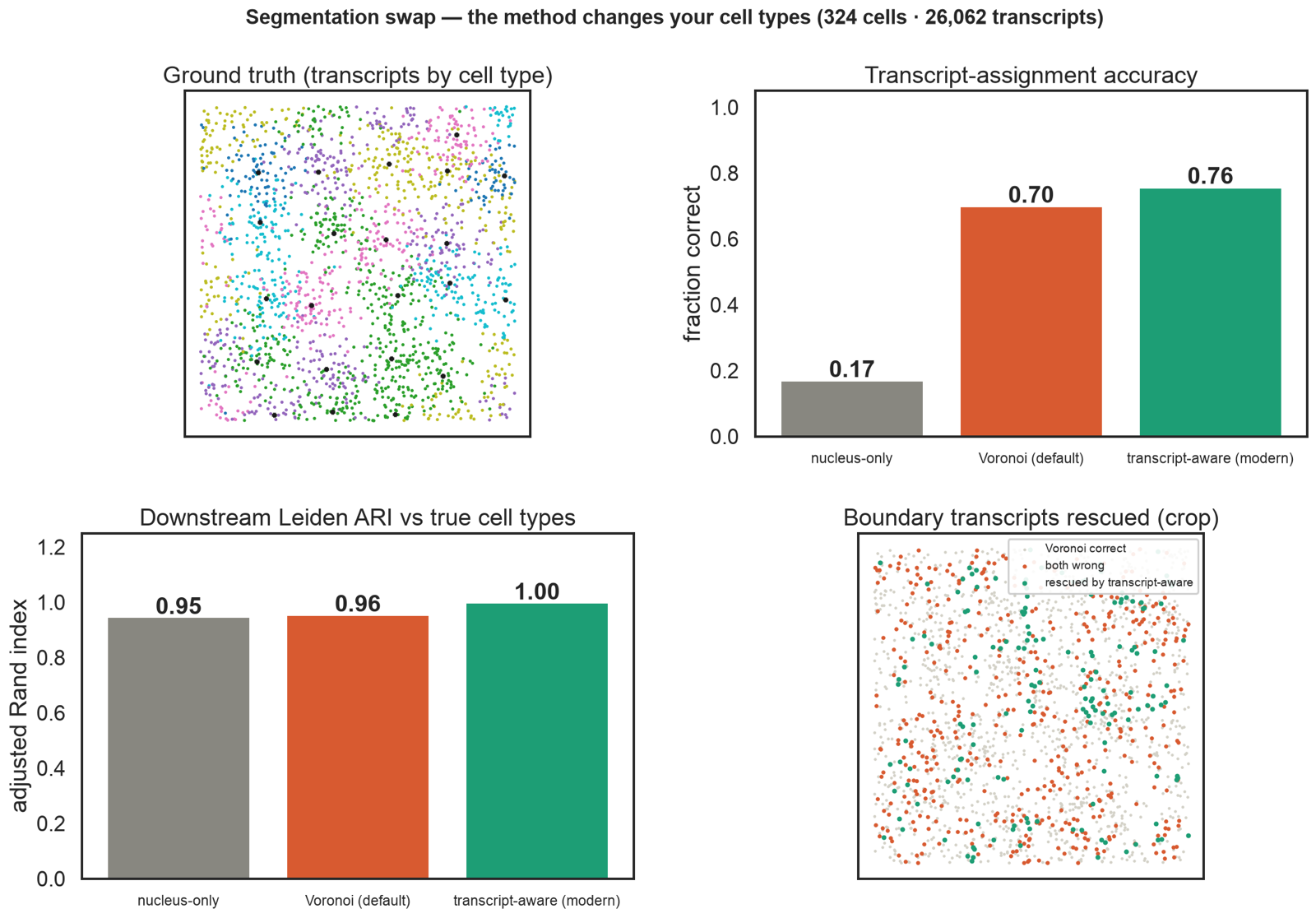 Four-panel segmentation comparison: ground-truth transcripts, transcript-assignment accuracy bars, downstream Leiden ARI bars, and a crop of boundary transcripts the transcript-aware method rescues