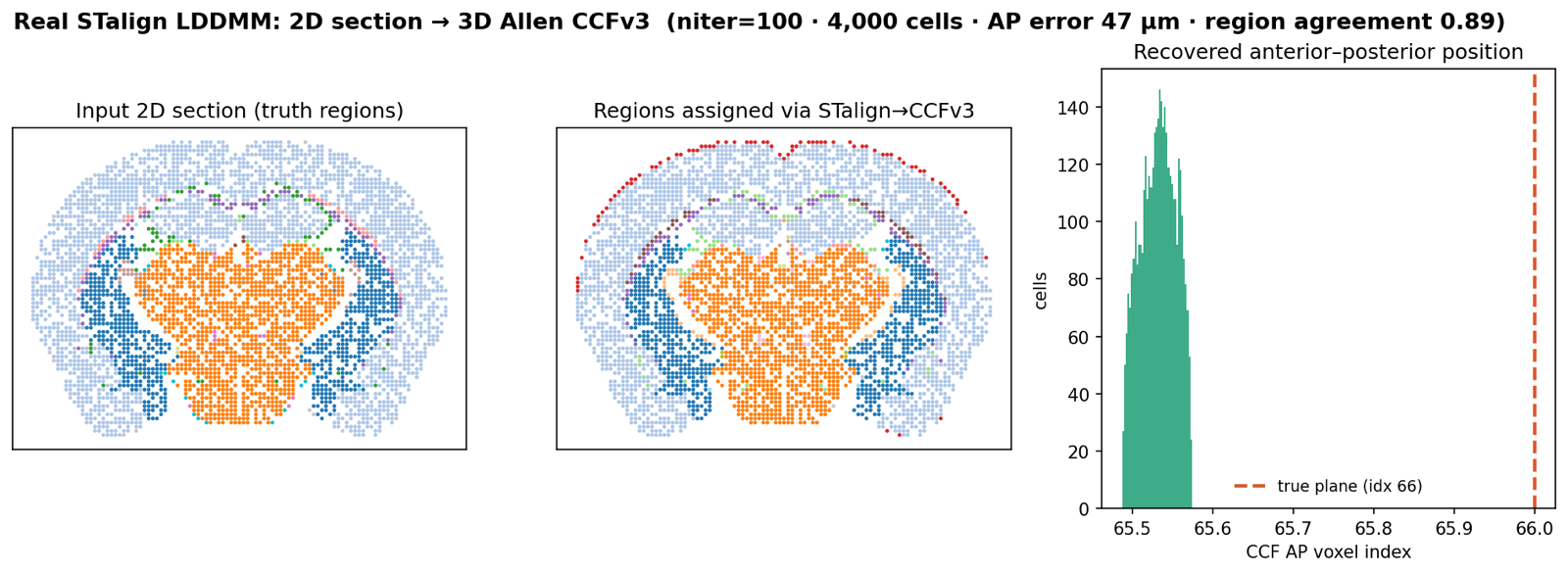 Three-panel real STalign result: input 2D section with true regions, regions assigned after warping into the CCFv3, and an anterior-posterior position histogram peaking at the true plane